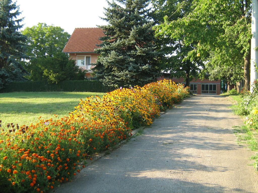 Apartments Domacinstvo Nikolic Valjevo Exterior photo